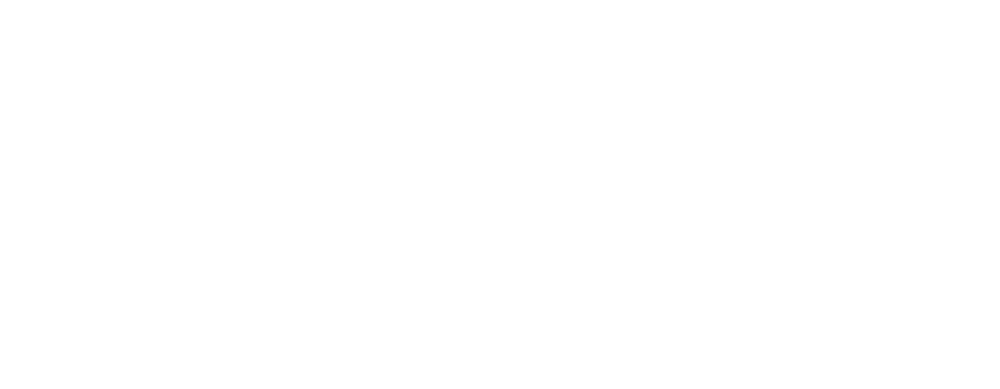 Goose